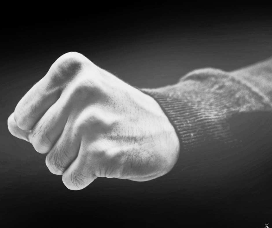 SafeJournalists i EFJ: Brutalni napadi na novinare i novinarke koji su izveštavali o lokalnim izborima u Srbiji zahtevaju hitan odgovor nadležnih organa